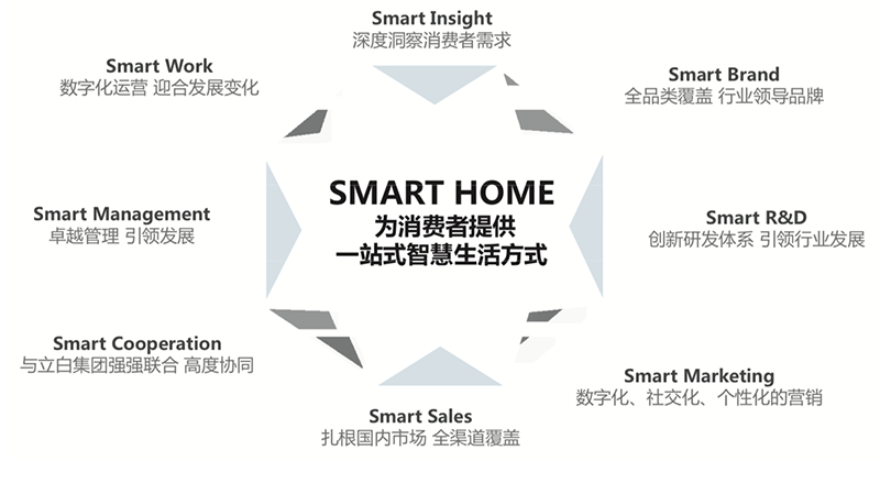 朝云集团初步招股文件